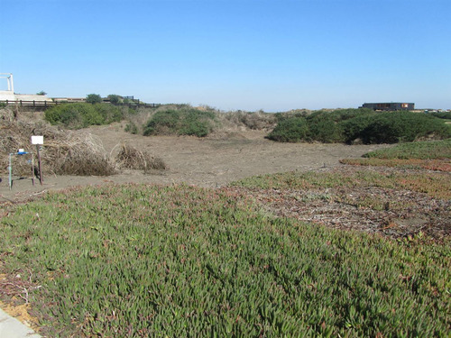 Terreno En Condominio Parque Punta De Lobos