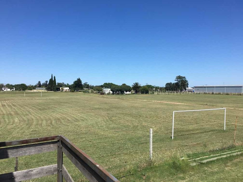 Asamblea Propiedades Complejo Deportivo 6 Canchas