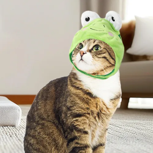 Sombrero De Rana Gato Sombreros Para Perros Y Gatos Sombrero