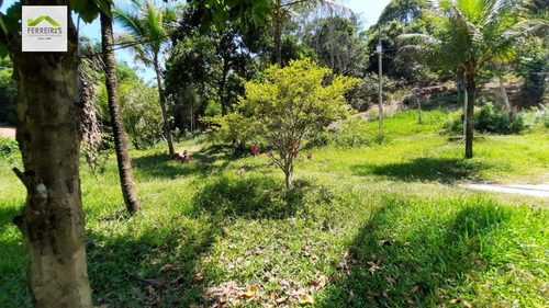 Imagem 19 de 30 de Sítio A Venda . - 830-1