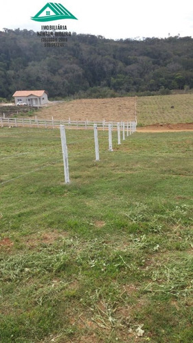 Imagem 6 de 9 de Chácara A Venda No Bairro Zona Rural Em Carmo De Minas - - 266-1