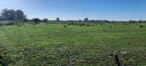 Terreno En Nueva Zelaya 3, Barrio Cerrado 