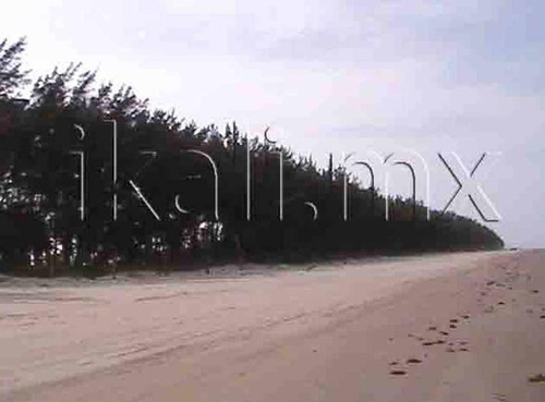 Venta Terreno Playa Hectáreas Tuxpan Veracruz