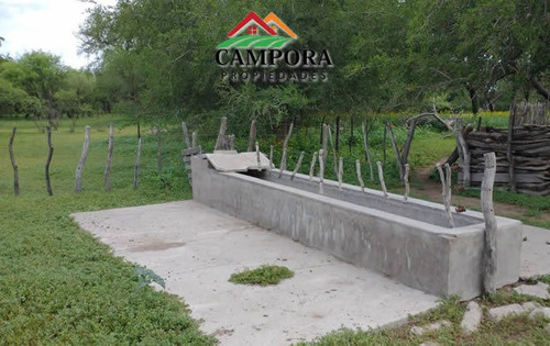Imagen 8 de 10 de Campo A La Venta Ganadero En San Luis