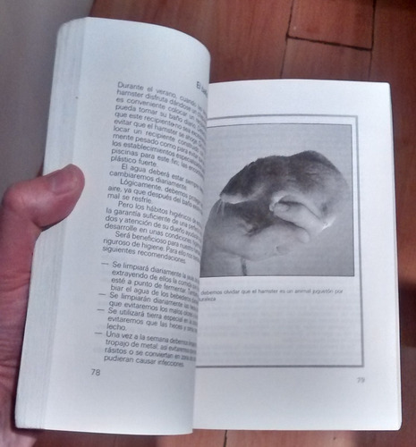 El Hámster - Editorial De Vecchi (españa) - Libro Agotado