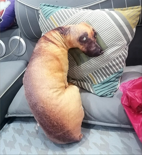Almohada De Perro Simulación 3d Almohada De Peluche Shapi Al