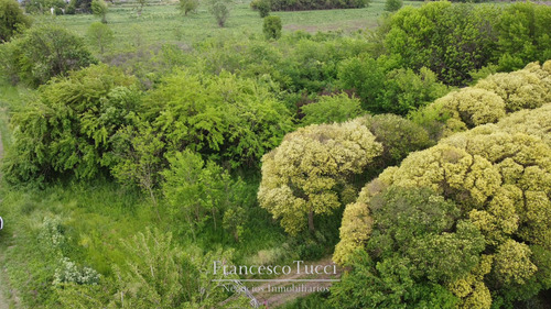 Campo/terreno En Venta Ruta 25