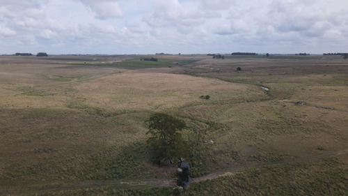 Campo En Venta De 150 Ha Agrícola Ganadero En Florida (ref: Atm-7901)