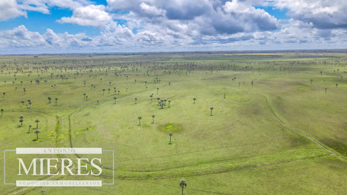 Campo En Rocha Ganadero Agrícola 125ha (ref: Atm-7988)