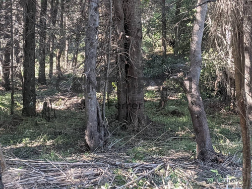 Imagen 12 de 15 de Lote En Venta - Bariloche - Zona Llao Llao - Id:15240