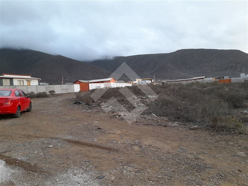 Imagen 4 de 5 de Industrial En Arriendo En Coquimbo