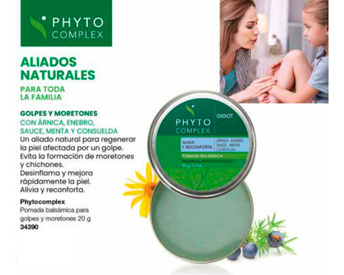 Gigot Phytocomplex Pomada Balsamica 20 Gr Desinflamante