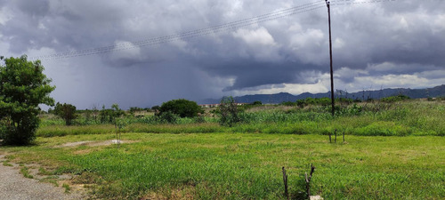 Imagen 3 de 6 de Terreno En Venta Paraparal Los Guayos Marco Sevilla C448704