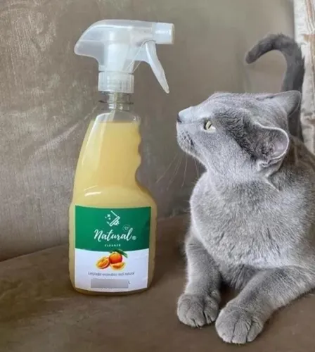 Natural Cleaner
