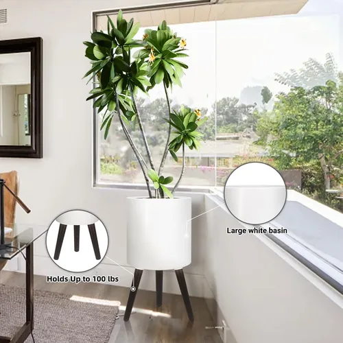 Maceta De 10 Pulgadas Con Patas, Planta Moderna, Con Drenaje
