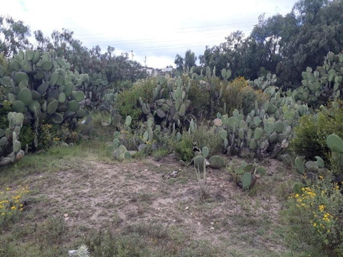 Imagen 7 de 12 de Terreno Comercial En Venta Dos Carlos Pueblo Nuevo