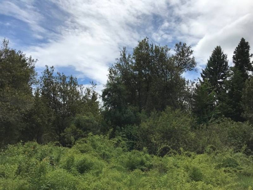 Terrenos O Lotes Venta Villa La Angostura