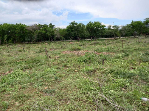 Terreno De Oportunidad En Pedernales