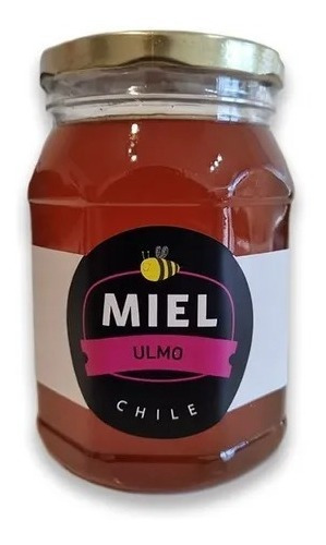 Miel De Ulmo  100% Pura 1kg