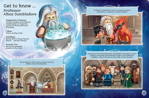 Lego Harry Potter Offical Yearbook (inc Toy)