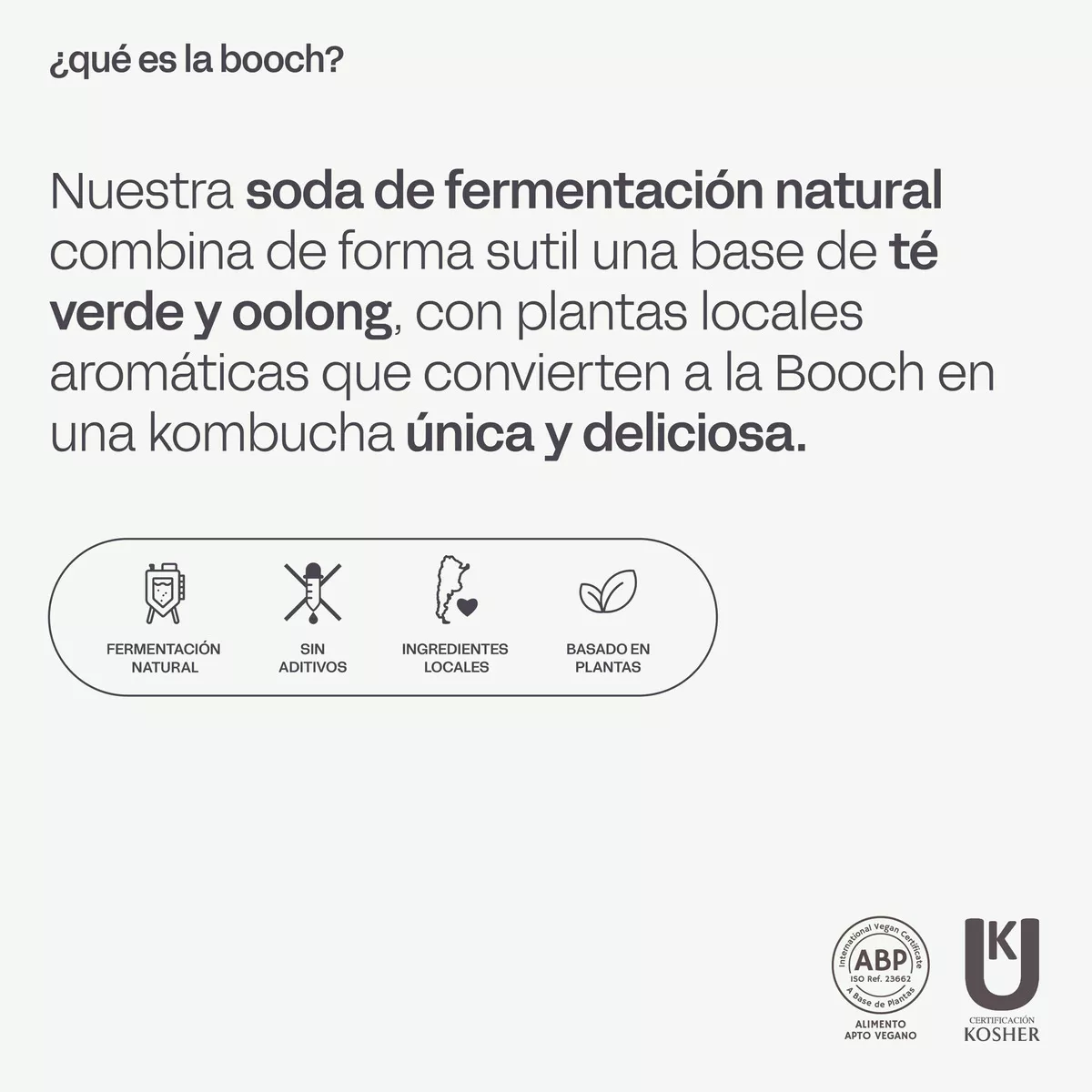 Tercera imagen para búsqueda de kombucha