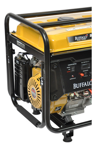 Gerador De Energia Gasolina 12,5kva Plus 220v Trif. Buffalo