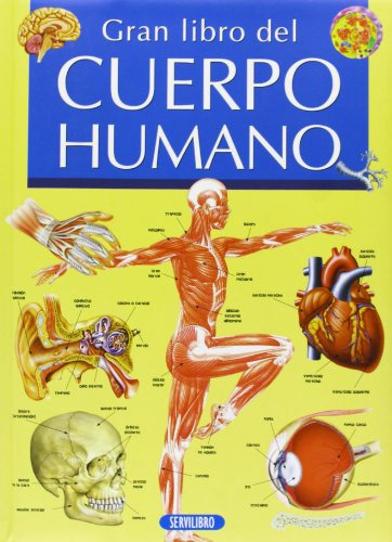 El Cuerpo Humano -gran Libro De  -