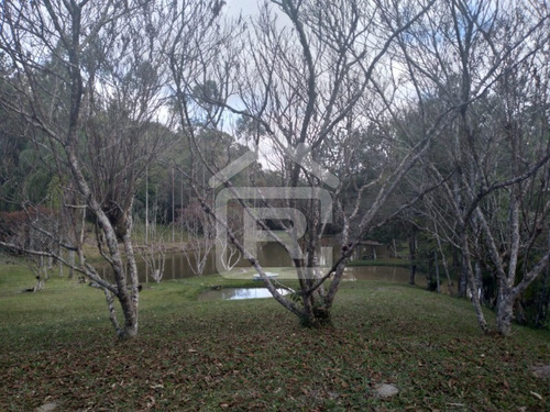 Imagem 18 de 30 de Itio Ideal Para O Seu Lazer Tendo 3 Lagos Piscosos Com Peixe, 02 Nascentes Próprias, Pomar, Horta. - 77 - 70066608
