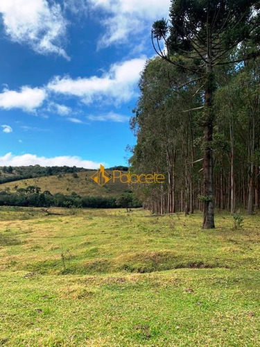Imagem 11 de 15 de Rural Chacara - 886221-v