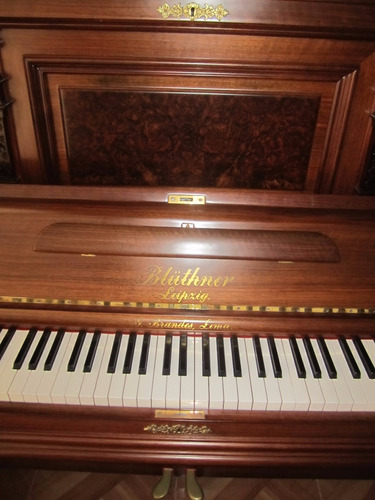 Piano Vertical Aleman De Concierto Bluthner