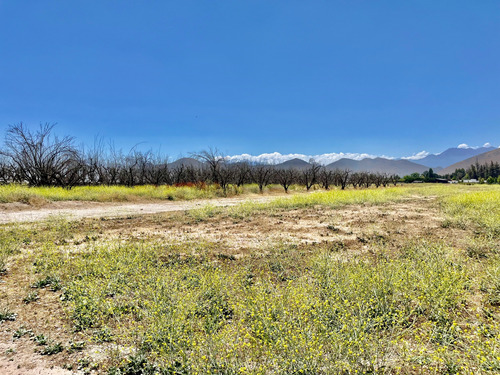 Baja De Precio! Sitio, Con Buenos Accesos A Carreteras