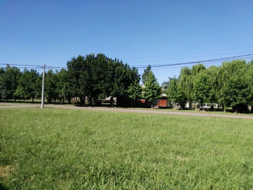 Imagen 2 de 5 de Terreno En Ibarlucea 450 M2