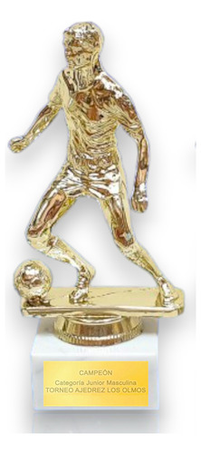 Trofeo Futbol Mundial Grabado Inlcuido Personalizado As04