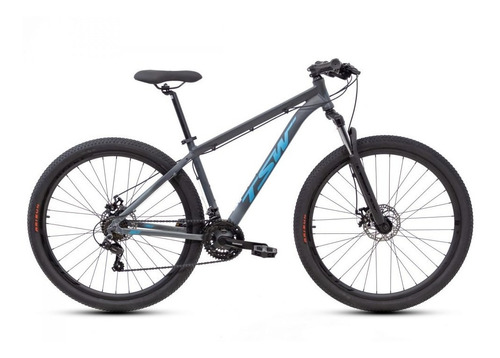 Bicicleta Mtb Tsw Ride 29  Tamanho 19 21v Cinza Azul