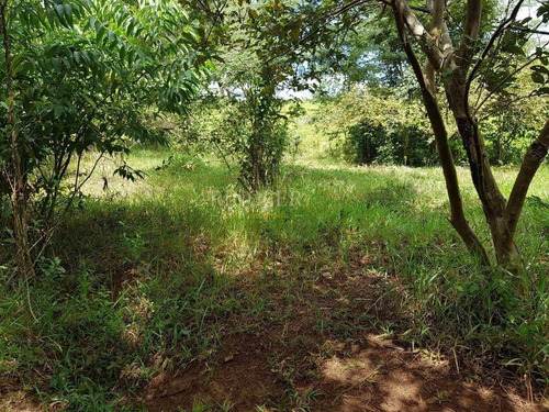 Imagem 7 de 14 de Chácara Em Claraval - Mg - Ch0013_rncr