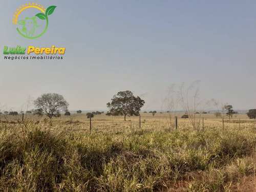 Imagem 5 de 10 de Fazenda À Venda Em Conceição Do Araguaia-pa-1.694 Hectares (dupla Aptidão) - 2028