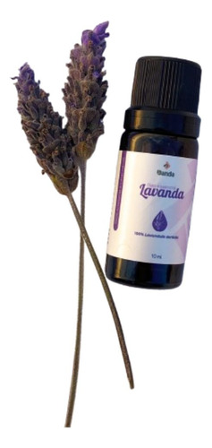 Óleo Essêncial De Lavanda Dentata 10ml - La Janda