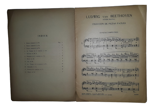 Mi Primer Beethoven Partitura Clásicos Pozzoli (Usado)
