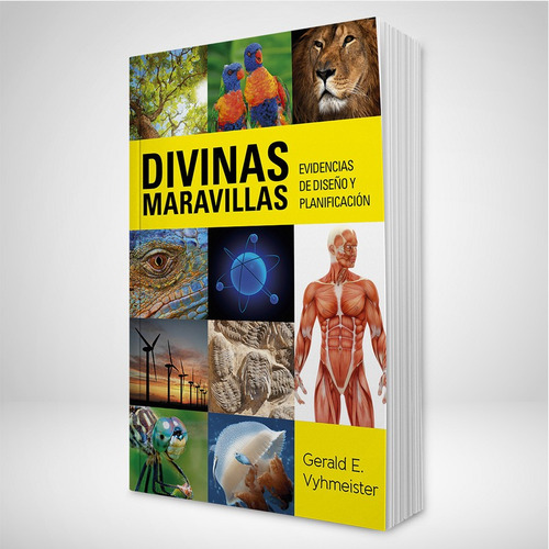 Imagen 1 de 6 de Divinas Maravillas - Editorial Aces