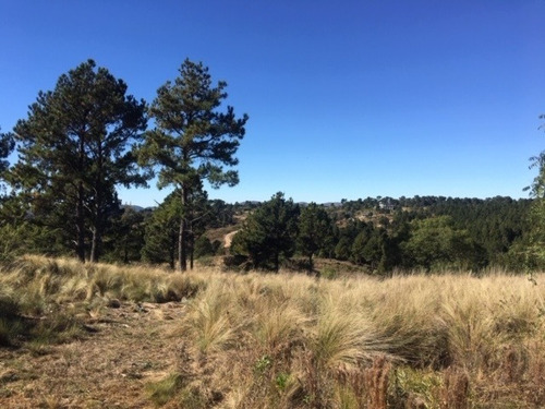 Imagen 3 de 10 de Venta De Fracción De 9 Hectáreas En Potrero De Garay, Casas Y Club De Montaña Inv0018