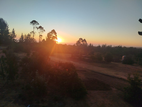 Venta Parcela 5000mts Algarrobo