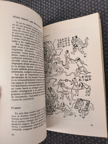 La Reencarnación - P. Ravignant, Ed. Signos, 1a Ed. Español (Usado)