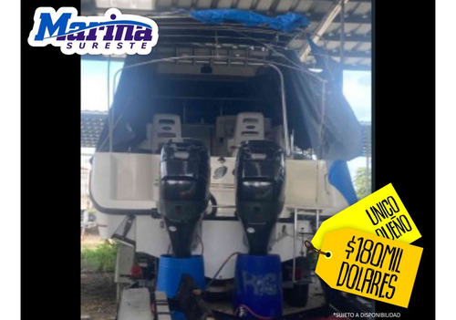 Boston Whaler Conquest 305 Cuidada-un Dueño