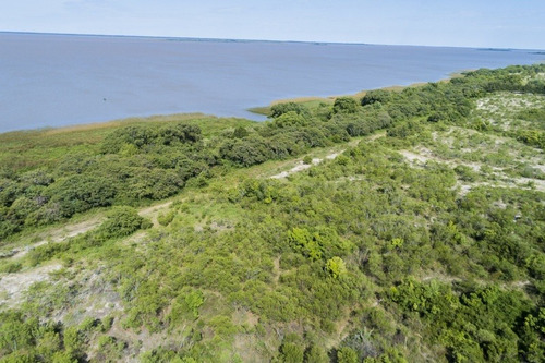 Imagen 13 de 16 de Campos Venta Carmelo Sobre Río De La Plata