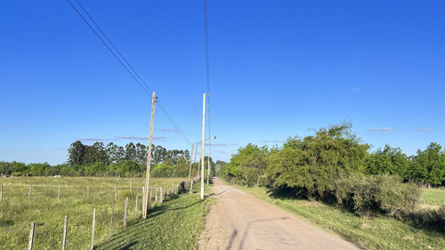 Lote De 1 Hectarea En San José Barrio Perucho