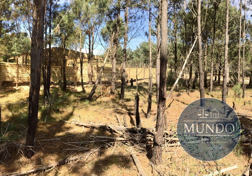 Venta De Terreno En Punta Del Diablo Bosques De La Viuda
