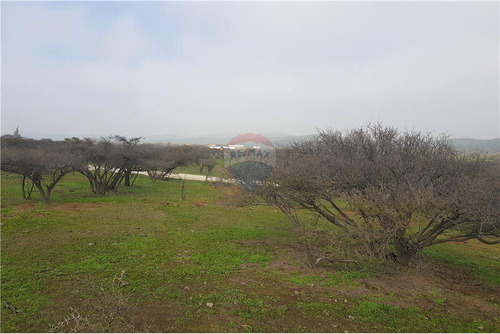 Sector Los Laureles - Terreno En Limache 5000 Mt