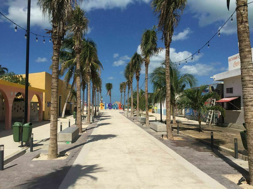 Imagen 3 de 13 de Terreno En Venta Playa Sisal Pueblo Mágico