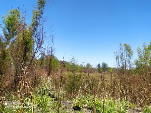 Imagen 10 de 12 de Terreno Campo En Venta Ubicado En Cuartel V, Moreno, G.b.a. Zona Oeste