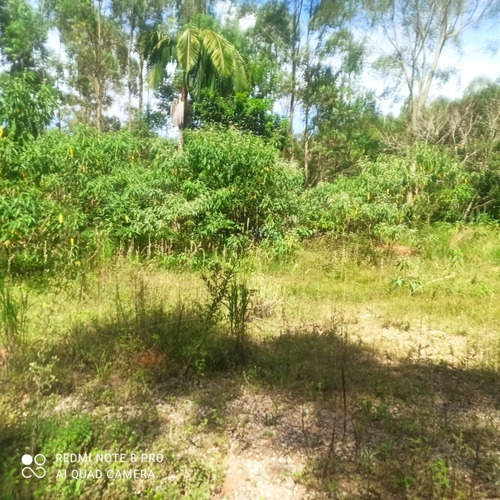 Imagem 6 de 12 de Ka - Lotes Planos Não Perca Ótimos Projetos